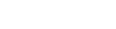 Bricon Logo